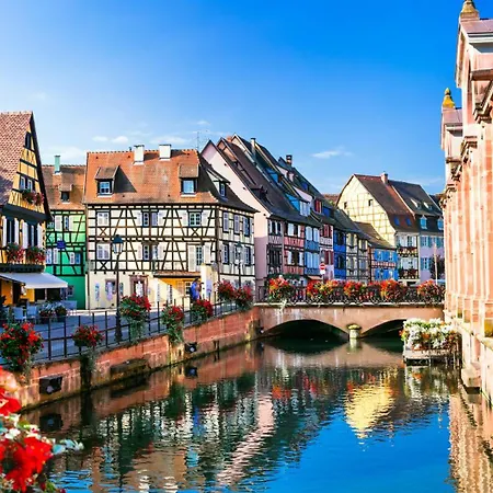 Nid De La Luss * Colmar