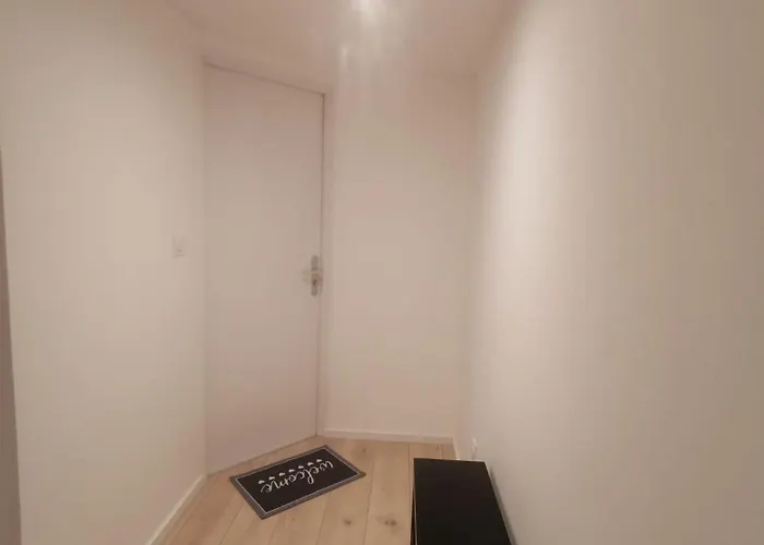 Nid De La Luss Colmar