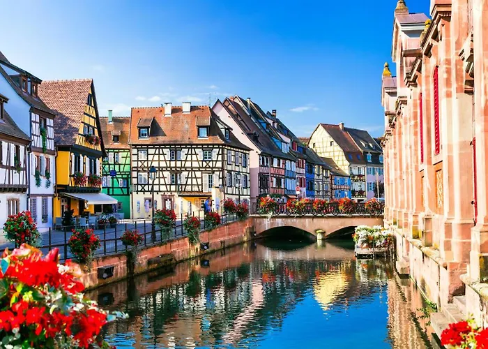 Nid De La Luss * Colmar