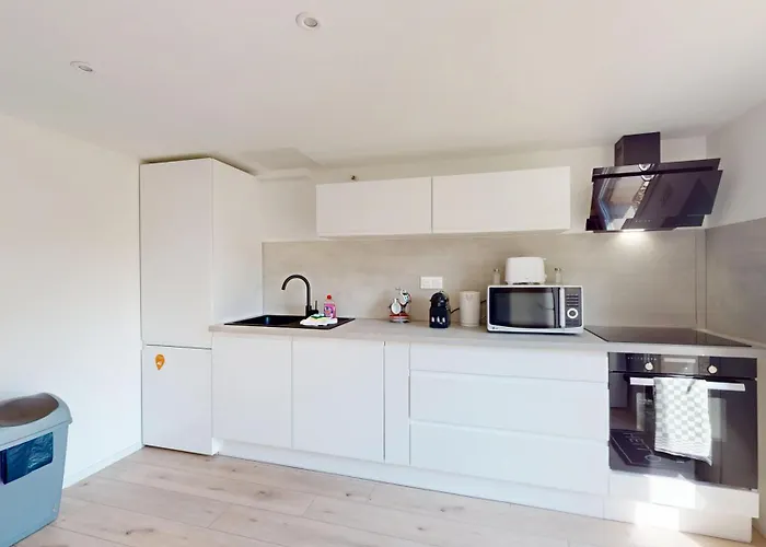 Nid De La Luss * Colmar