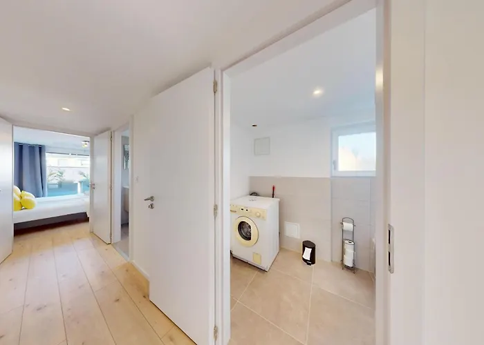 Nid De La Luss * Кольмар