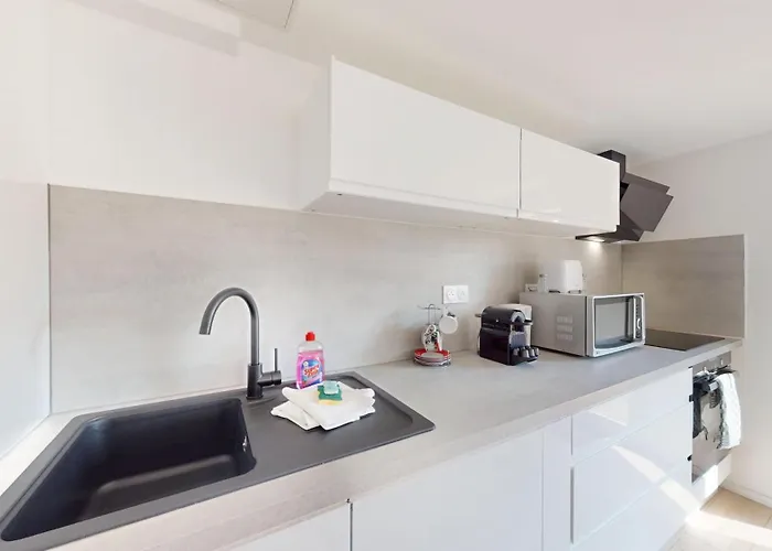 Nid De La Luss Appartement